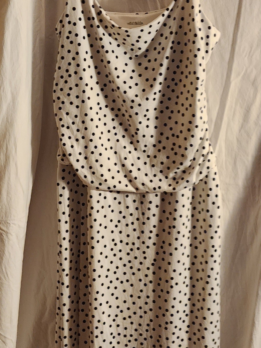 wild fable White Dress with Black Polka Dots - Midi